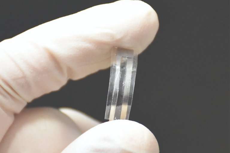 Investigadores catalanes desarrollan sensores biodegradables para monitorizar la salud